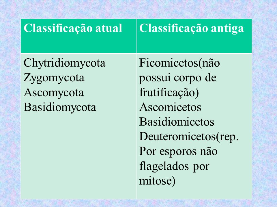 Classificação atual Classificação antiga. Chytridiomycota Zygomycota Ascomycota Basidiomycota. Ficomicetos(não possui corpo de frutificação)