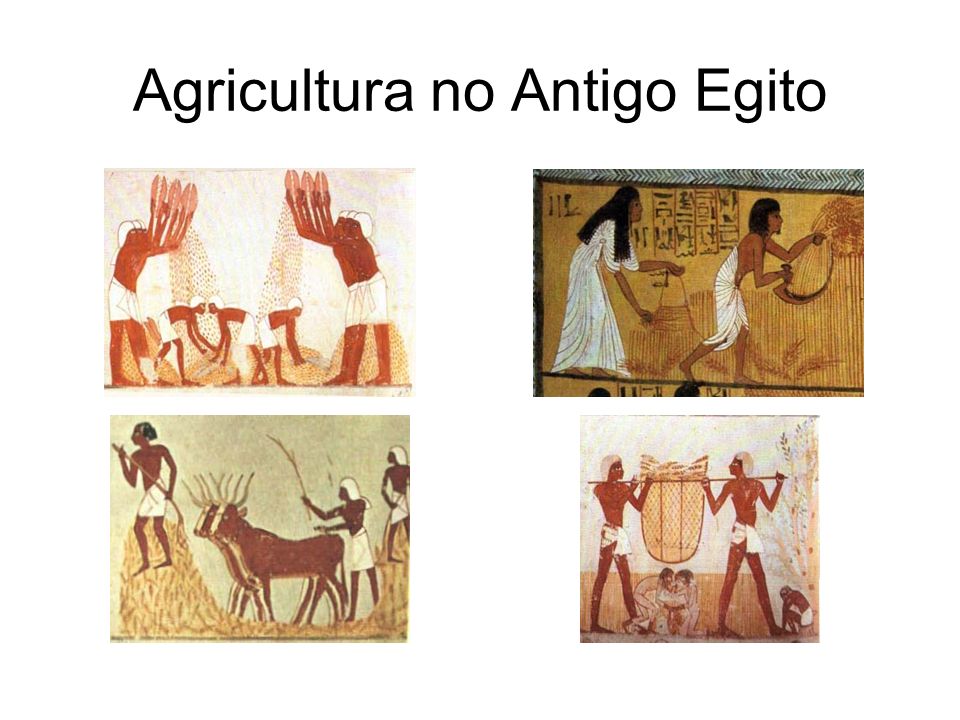 Agricultura no Antigo Egito