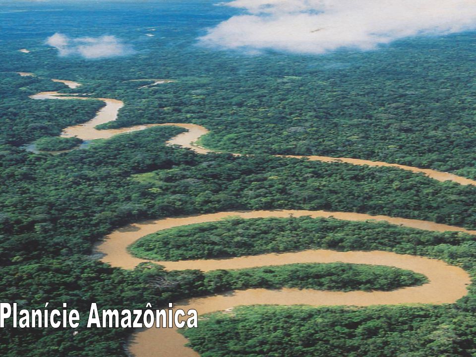Planície Amazônica