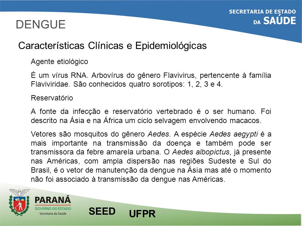 DENGUE Características Clínicas e Epidemiológicas SEED UFPR