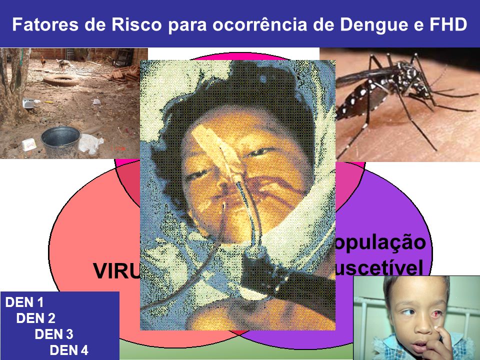 Fatores de Risco para ocorrência de Dengue e FHD