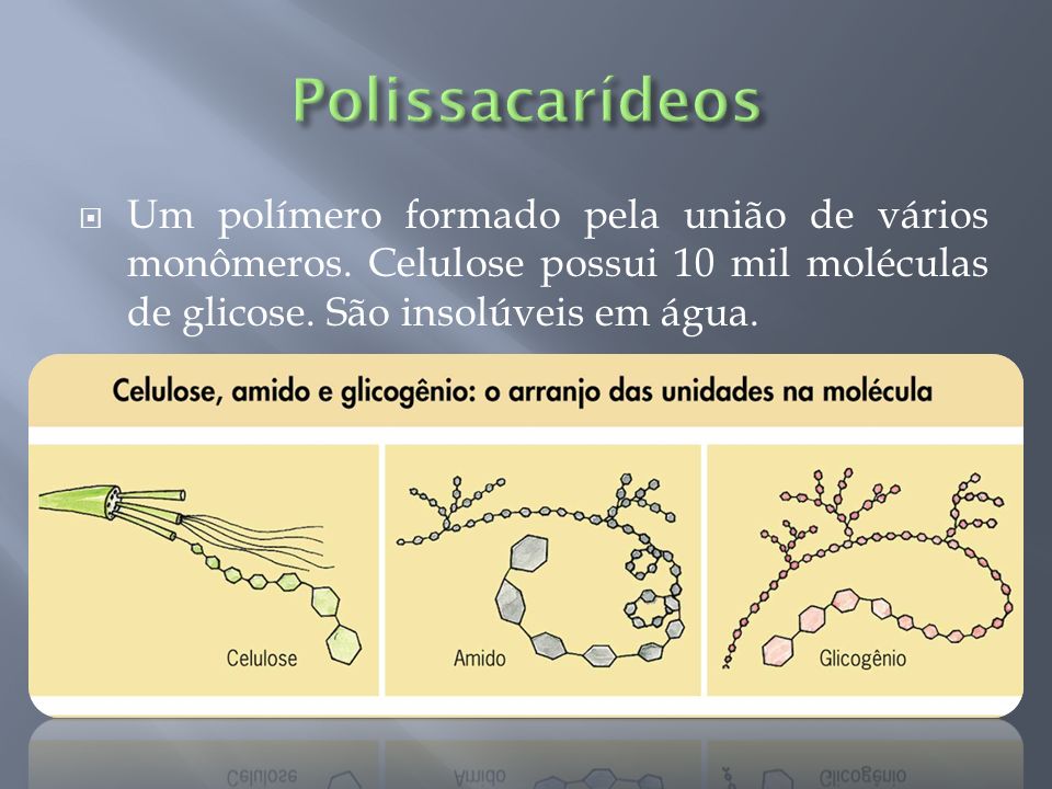 Polissacarídeos Um polímero formado pela união de vários monômeros.