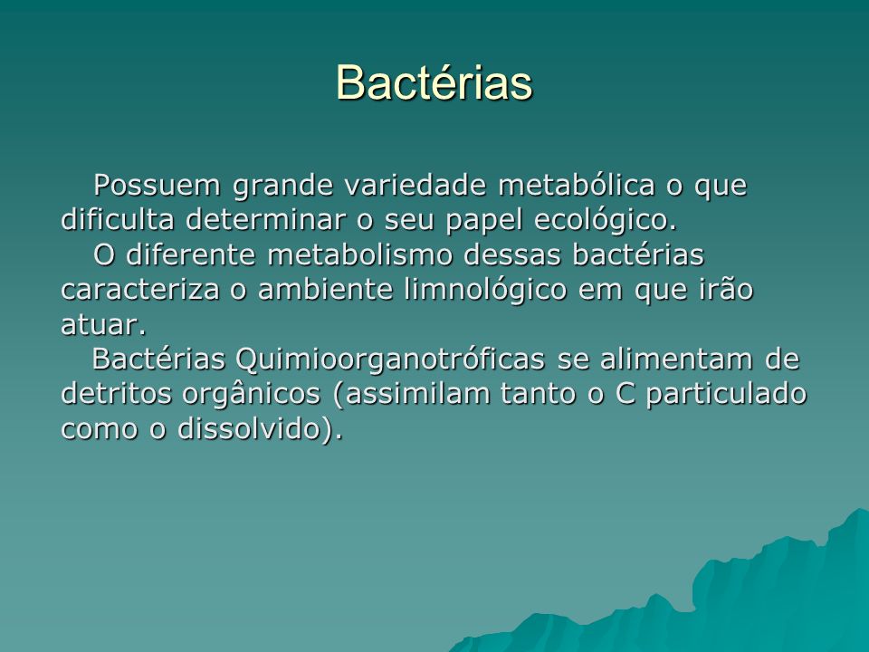 Bactérias Possuem grande variedade metabólica o que