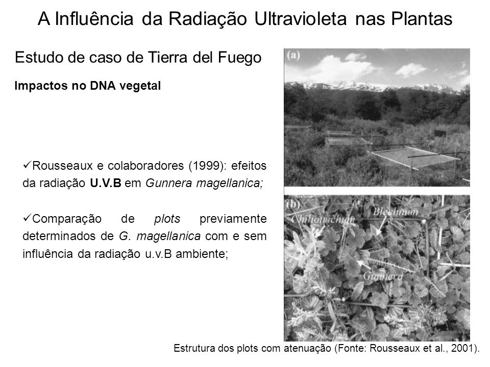 Características de transmissão de luz em dielétrico de anisotropia -  Exposição - PANASYS