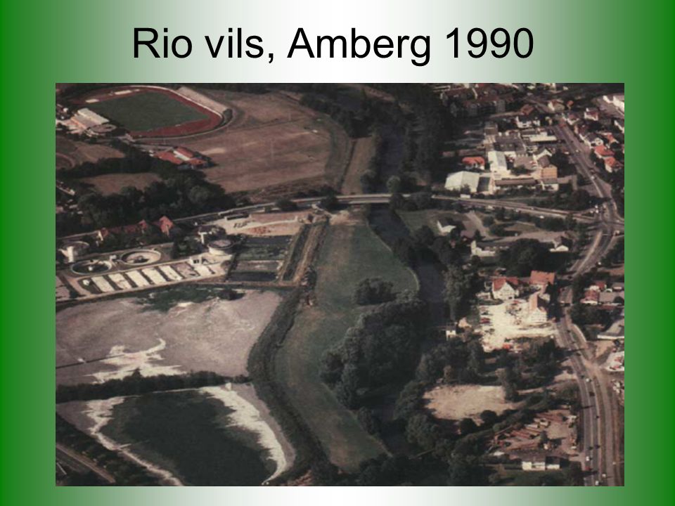 Rio vils, Amberg 1990