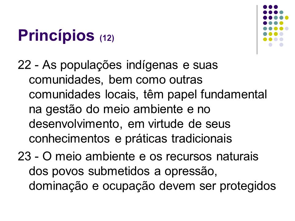 Princípios (12)