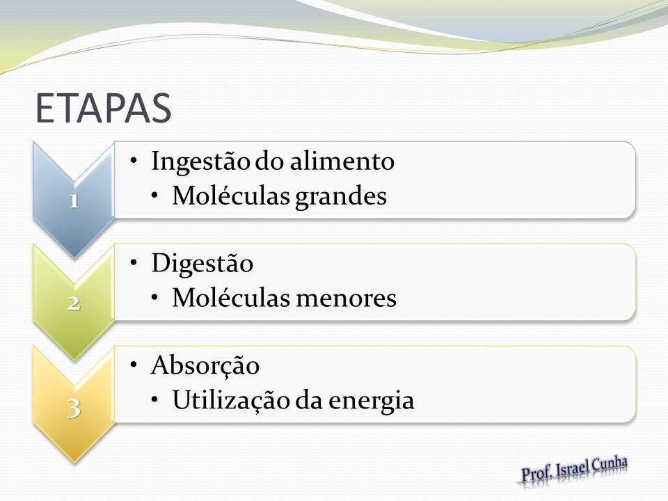 ETAPAS Prof. Israel Cunha 1 Ingestão do alimento Moléculas grandes 2