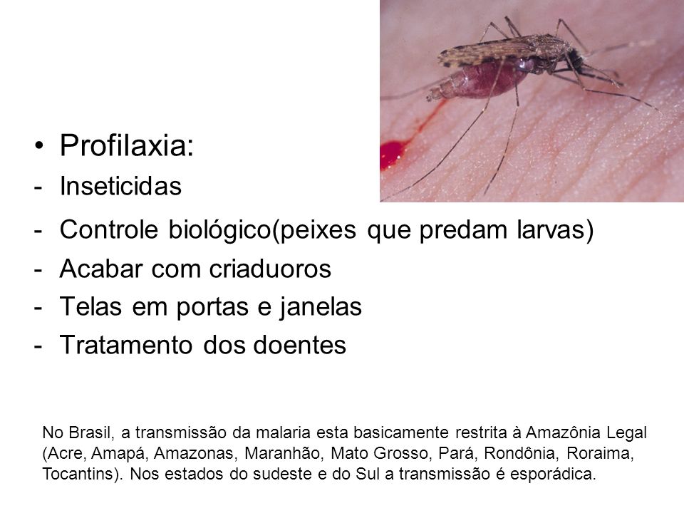 Profilaxia: Inseticidas Controle biológico(peixes que predam larvas)