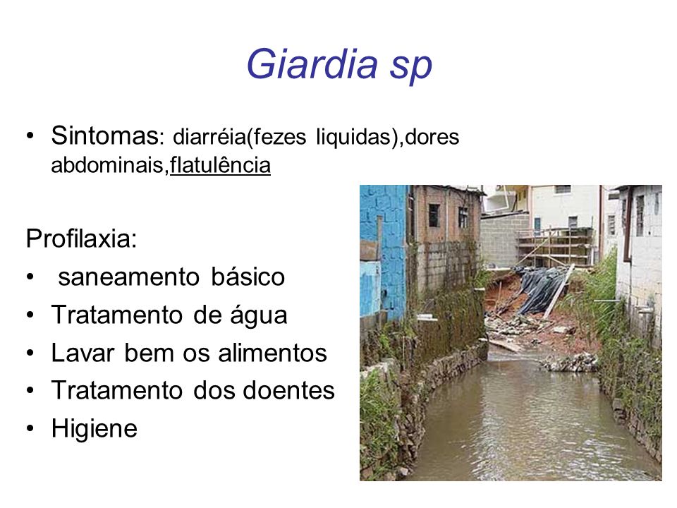 Giardia sp Sintomas: diarréia(fezes liquidas),dores abdominais,flatulência. Profilaxia: saneamento básico.
