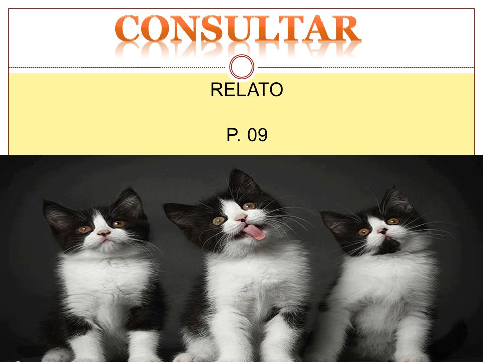consultar RELATO P. 09