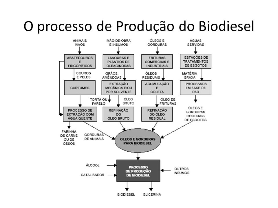 O processo de Produção do Biodiesel