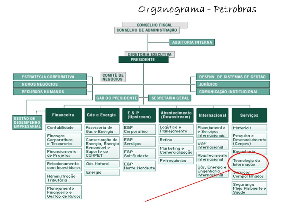 Organograma - Petrobras