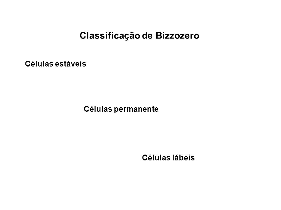 Classificação de Bizzozero