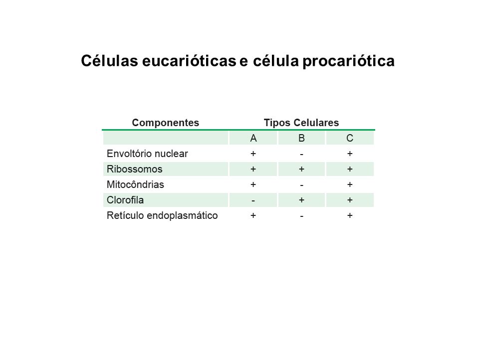Células eucarióticas e célula procariótica