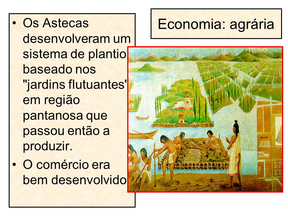 Economia: agrária Os Astecas desenvolveram um sistema de plantio baseado nos jardins flutuantes , em região pantanosa que passou então a produzir.