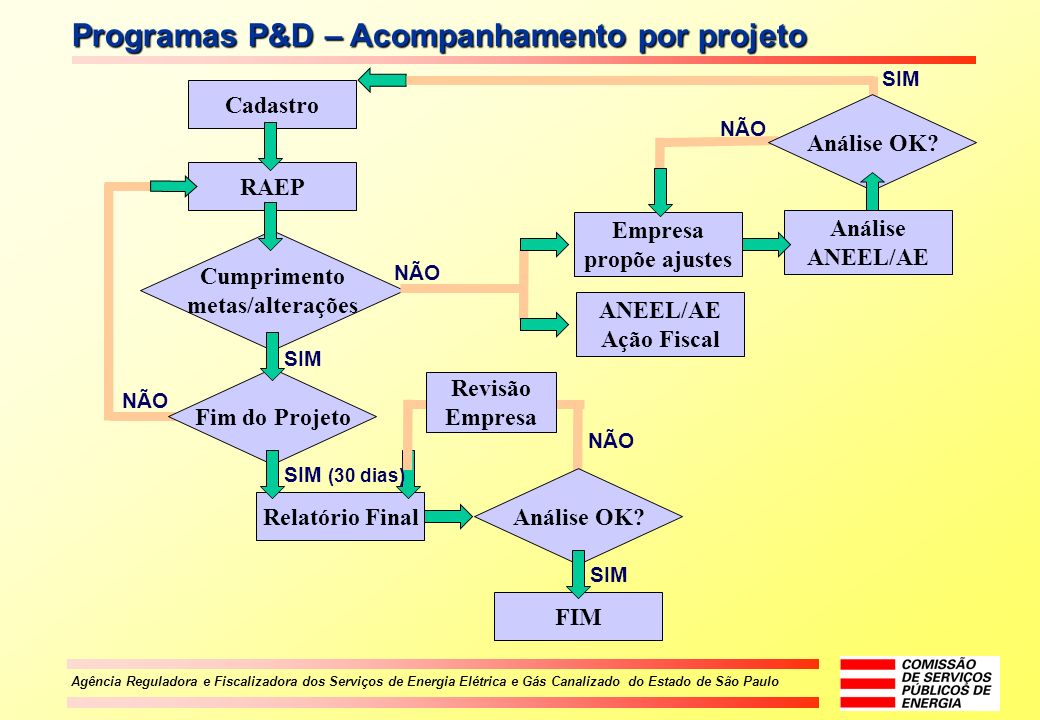 Programas P&D – Acompanhamento por projeto