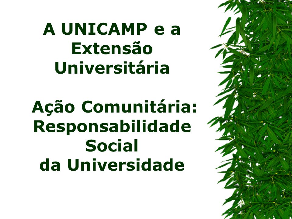 A UNICAMP e a Extensão Universitária Ação Comunitária: Responsabilidade Social da Universidade