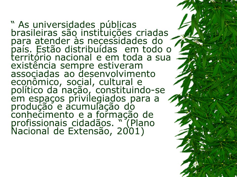 As universidades públicas brasileiras são instituições criadas para atender às necessidades do país.