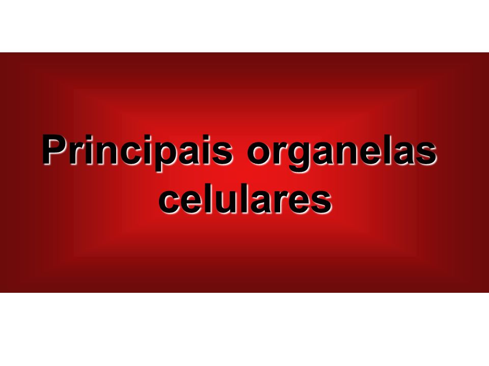 Principais organelas celulares