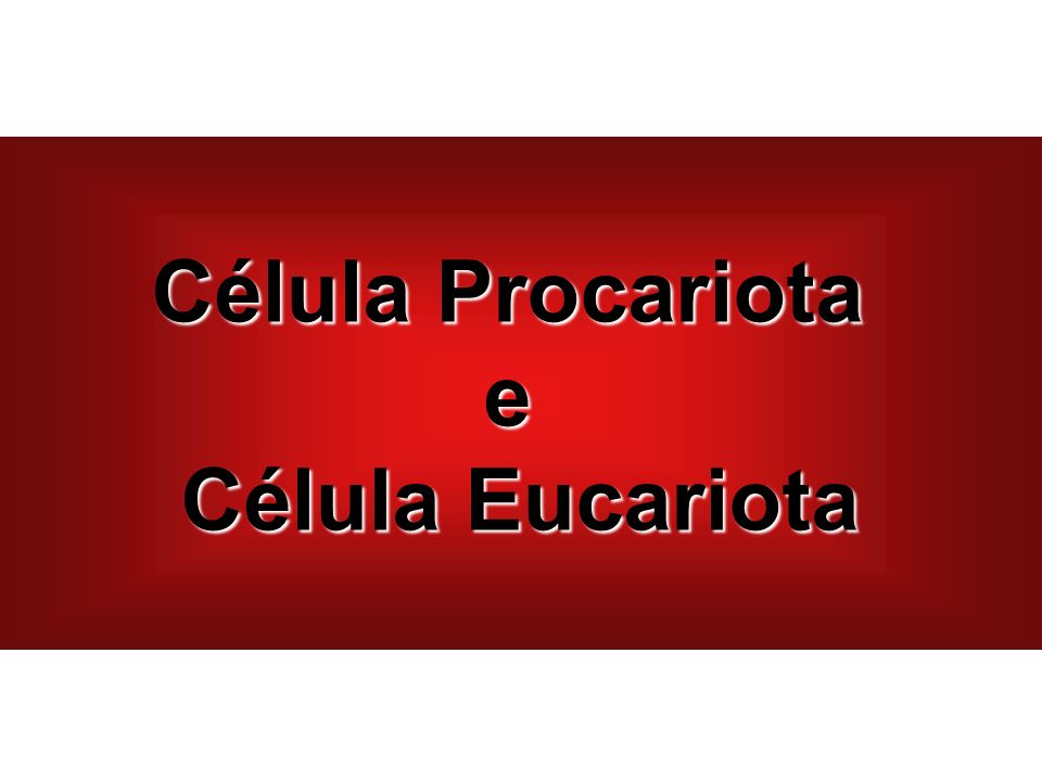 Célula Procariota e Célula Eucariota