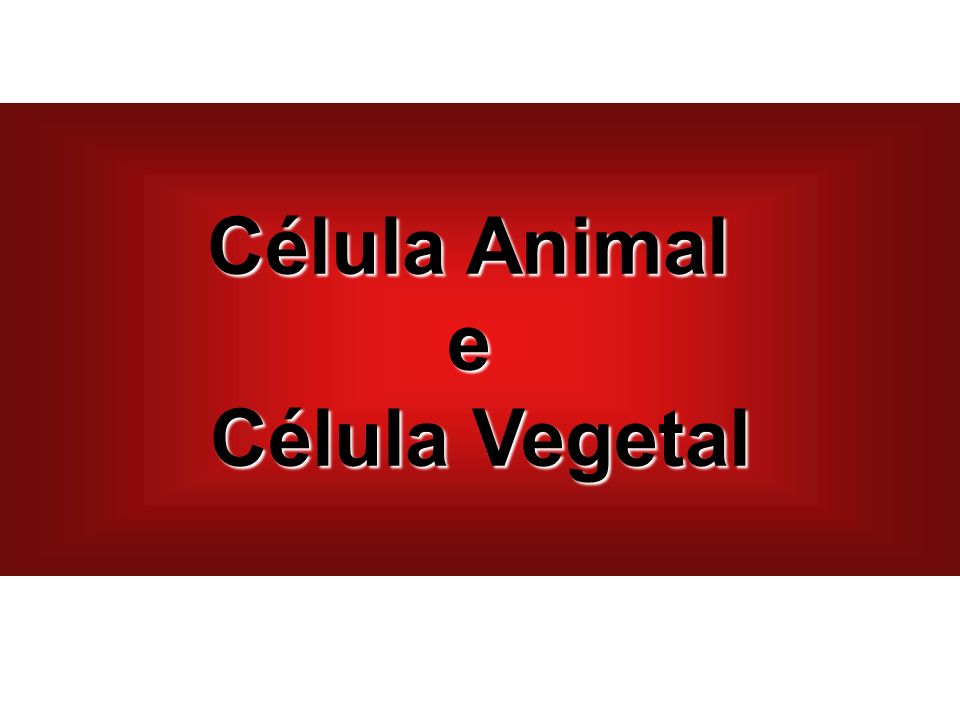 Célula Animal e Célula Vegetal