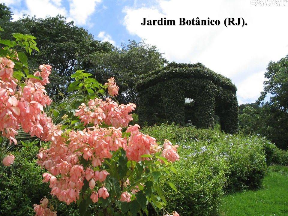 Jardim Botânico (RJ).