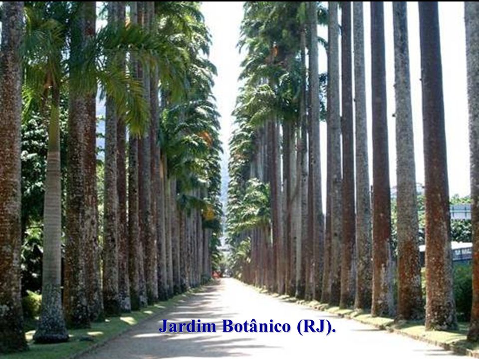 Jardim Botânico (RJ).