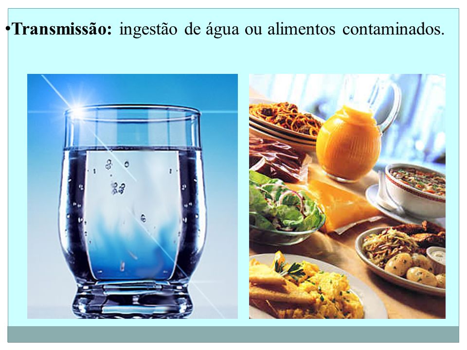 Transmissão: ingestão de água ou alimentos contaminados.