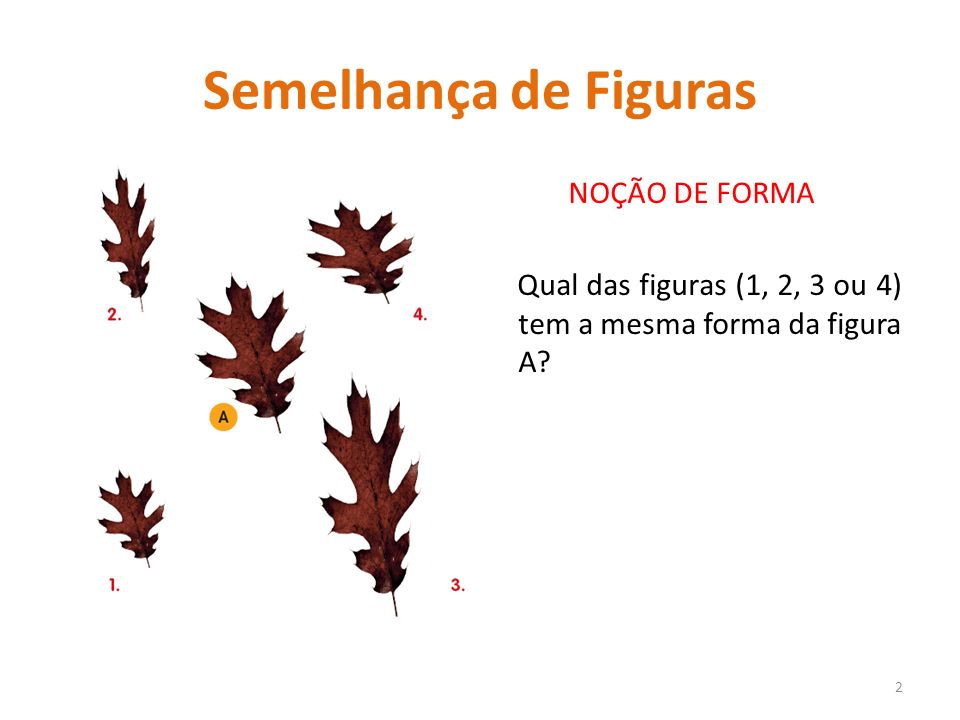 Semelhança de Figuras NOÇÃO DE FORMA Qual das figuras (1, 2, 3 ou 4) tem a mesma forma da figura A
