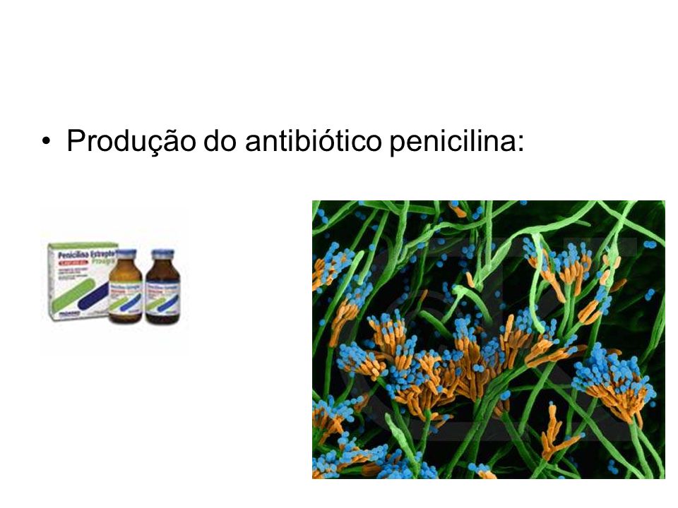 Produção do antibiótico penicilina: