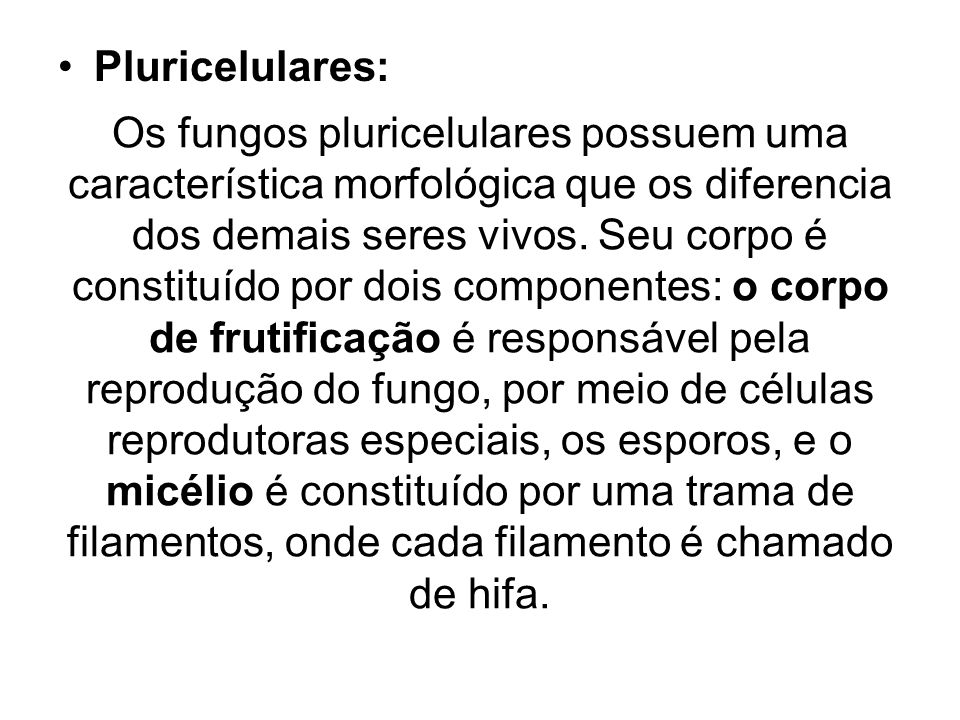 Pluricelulares:
