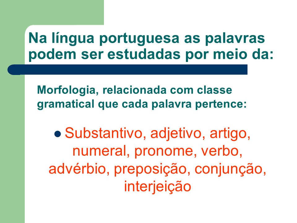 Na língua portuguesa as palavras podem ser estudadas por meio da: