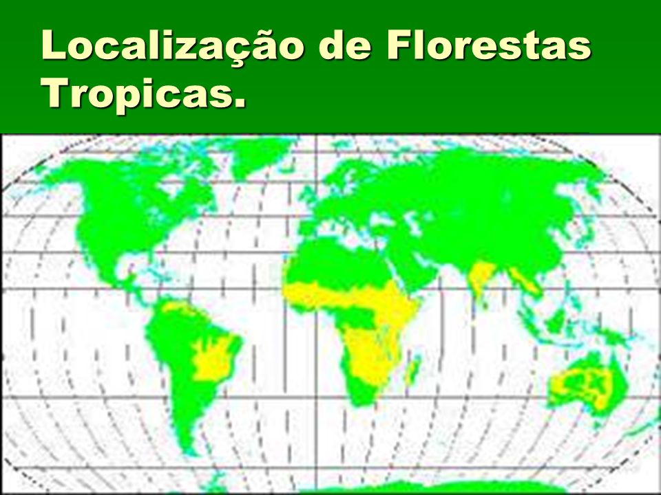 Localização de Florestas Tropicas.