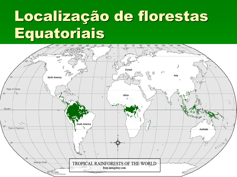 Localização de florestas Equatoriais
