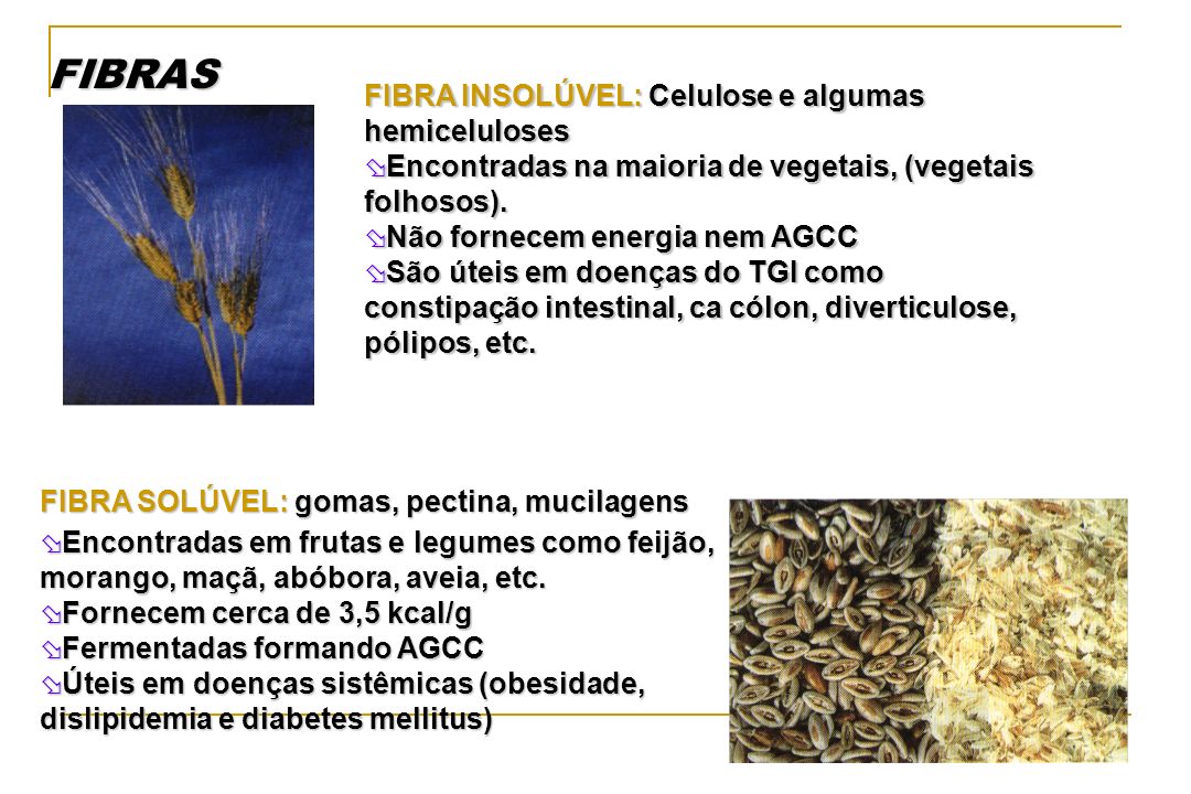 FIBRAS FIBRA INSOLÚVEL: Celulose e algumas hemiceluloses