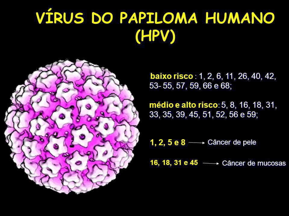 VÍRUS DO PAPILOMA HUMANO (HPV)