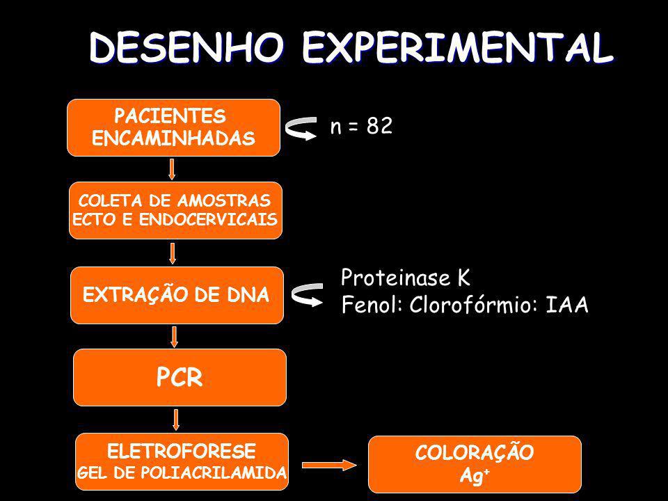 DESENHO EXPERIMENTAL PCR n = 82 Proteinase K Fenol: Clorofórmio: IAA