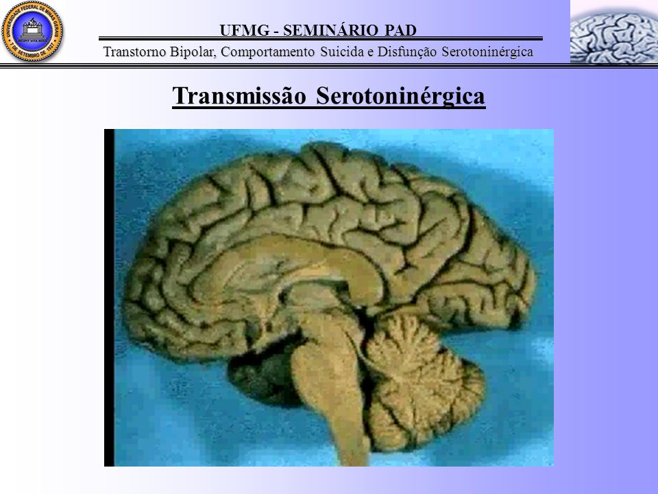 Transmissão Serotoninérgica