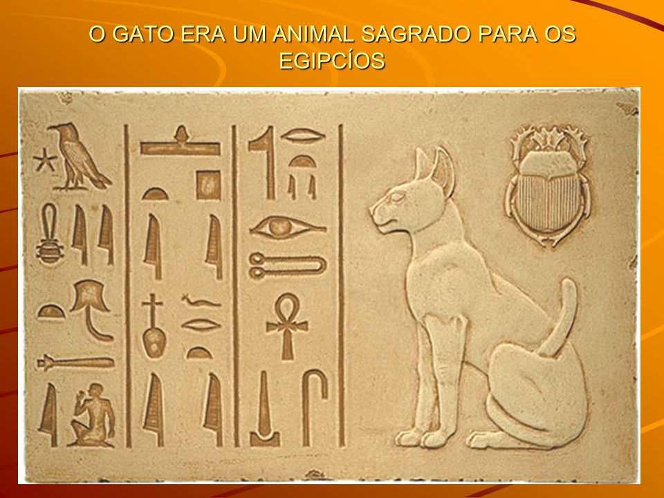 O GATO ERA UM ANIMAL SAGRADO PARA OS EGIPCÍOS
