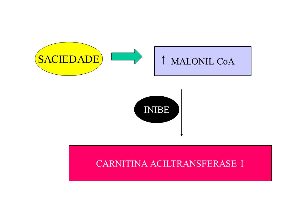 Acetil CoA carboxilase: catalisa a sintese de malonil CoA - ppt video online carregar