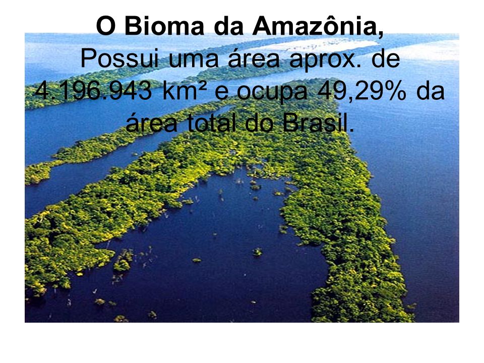 O Bioma da Amazônia, Possui uma área aprox. de