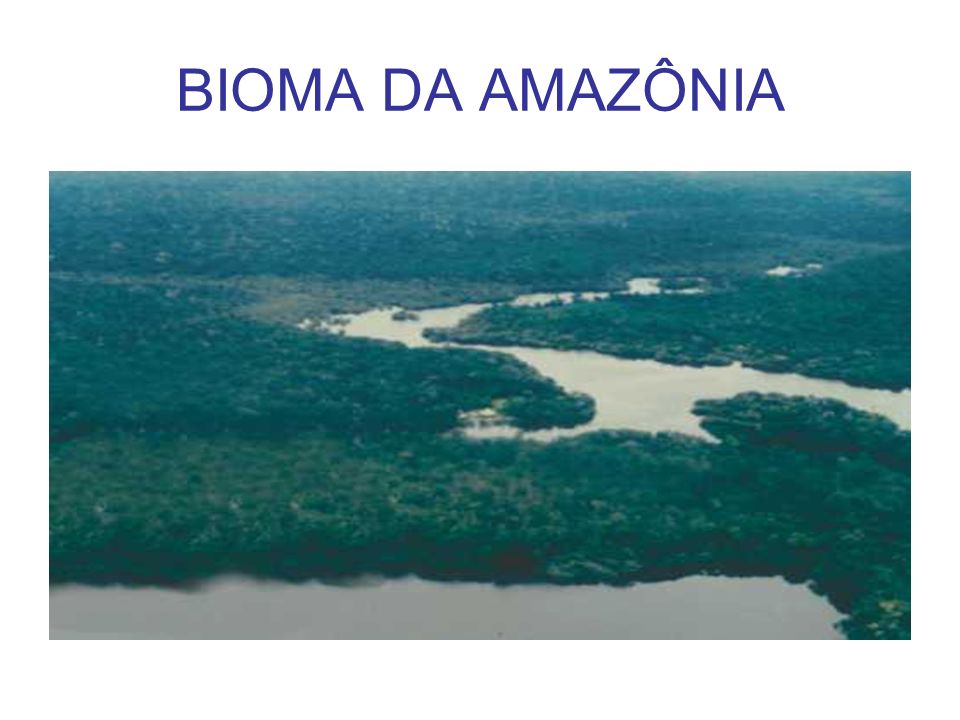 BIOMA DA AMAZÔNIA