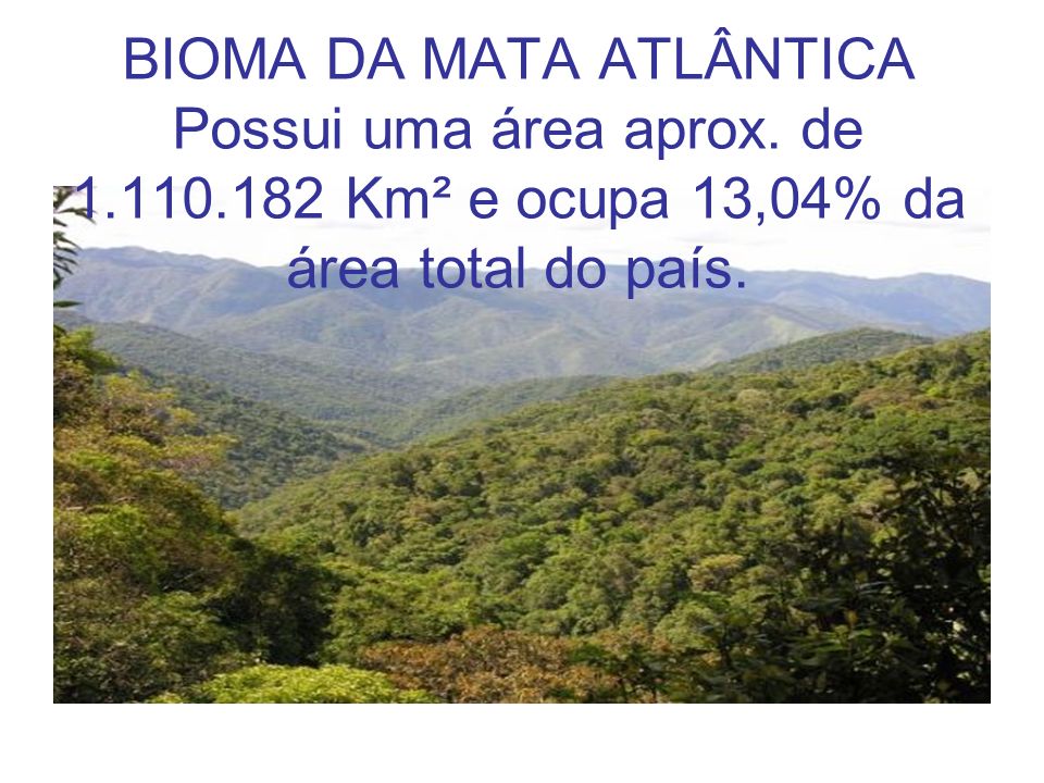 BIOMA DA MATA ATLÂNTICA Possui uma área aprox. de