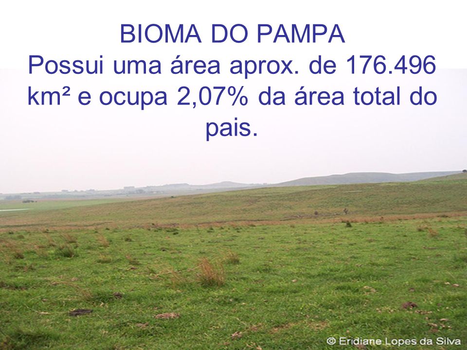 BIOMA DO PAMPA Possui uma área aprox. de 176