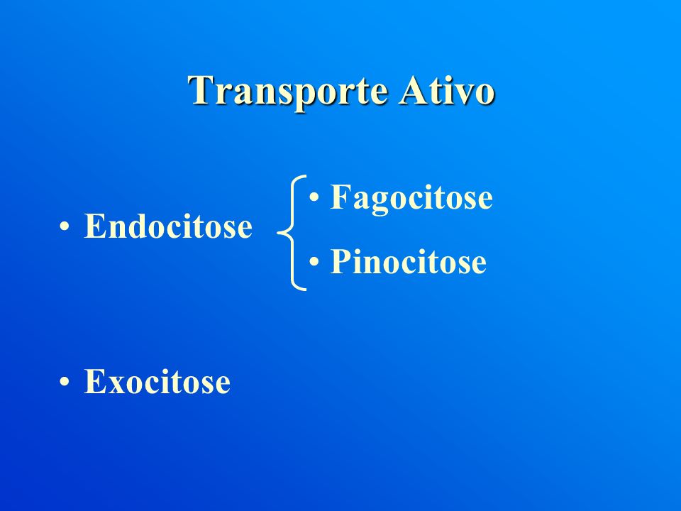 Transporte Ativo Endocitose Exocitose Fagocitose Pinocitose