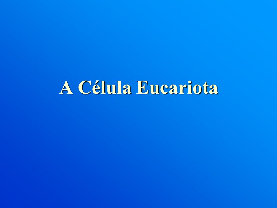 A Célula Eucariota