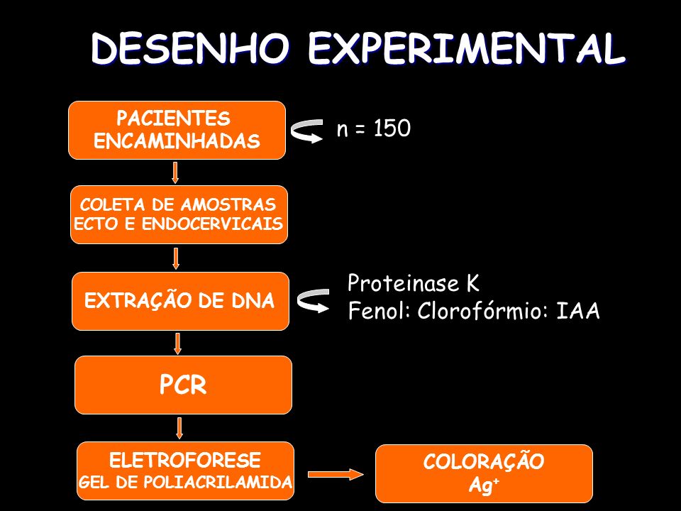 DESENHO EXPERIMENTAL PCR n = 150 Proteinase K Fenol: Clorofórmio: IAA