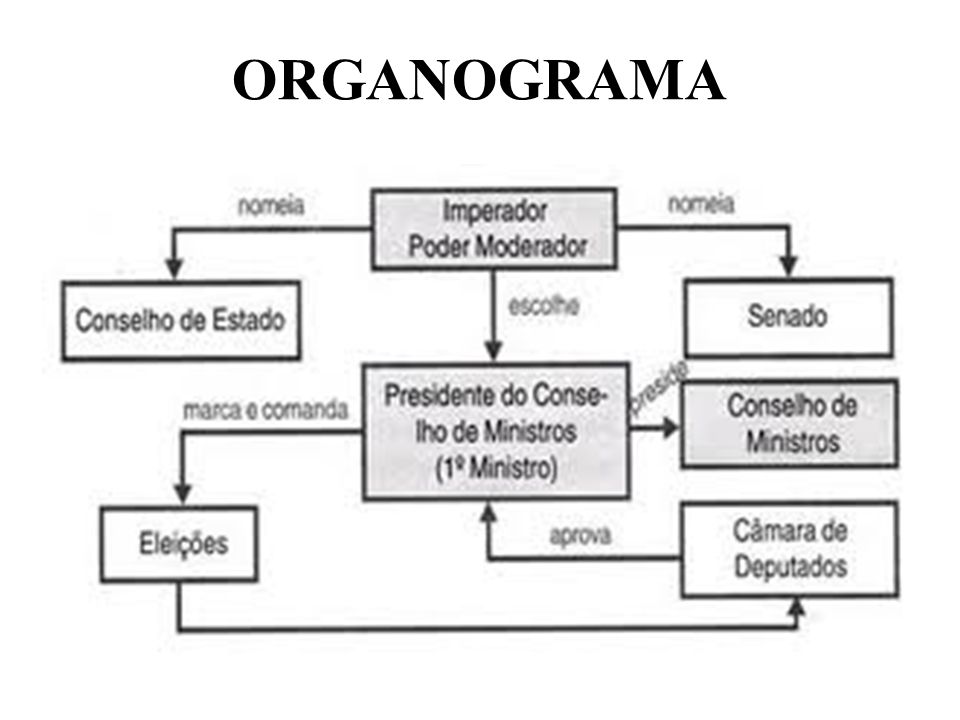 ORGANOGRAMA