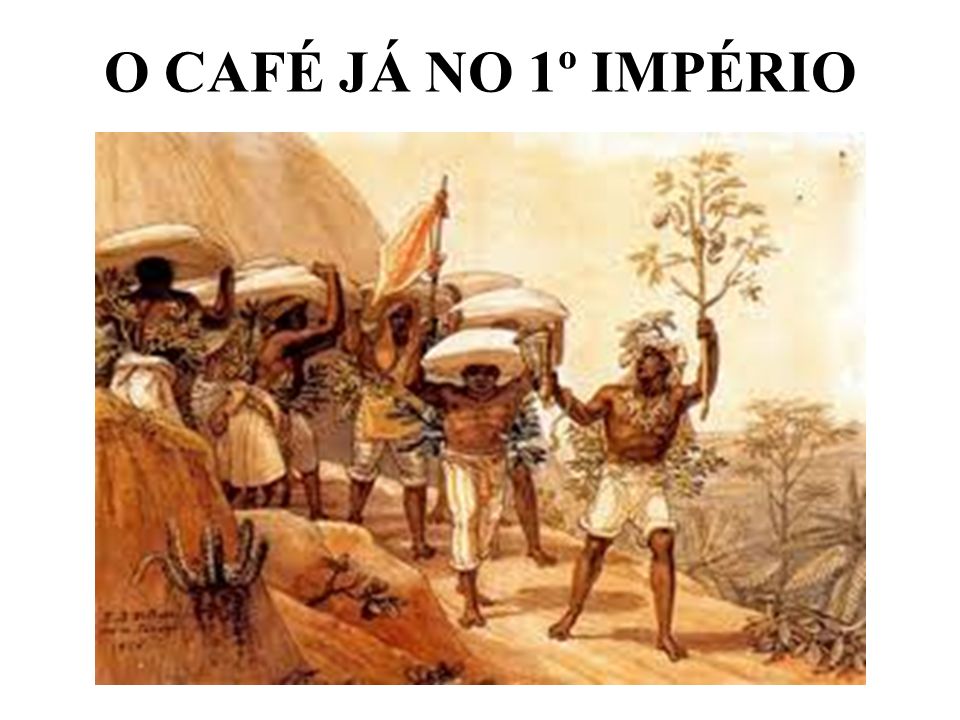 O CAFÉ JÁ NO 1º IMPÉRIO