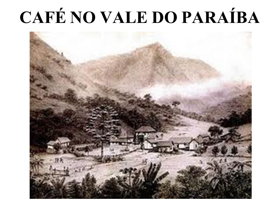 CAFÉ NO VALE DO PARAÍBA